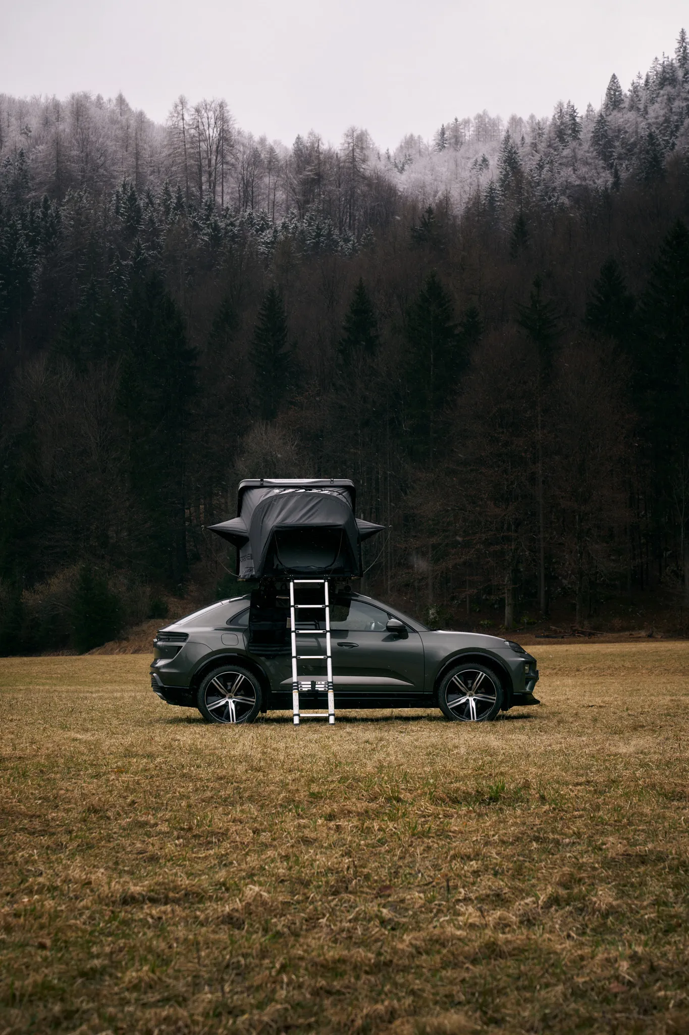 Some alternative text for screen readers describing the media element